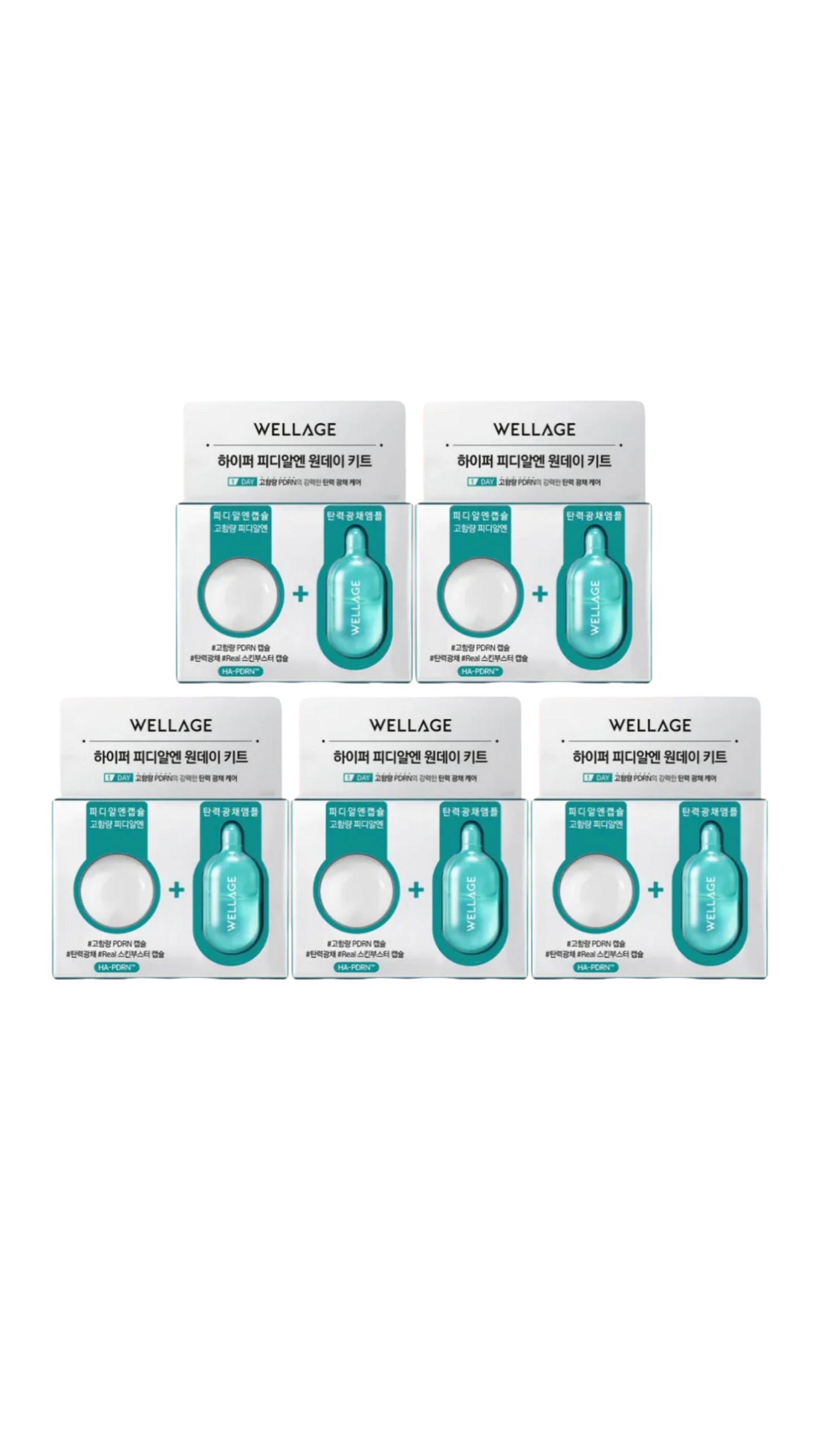 WELLAGE Hyper PDRN One Day Kit