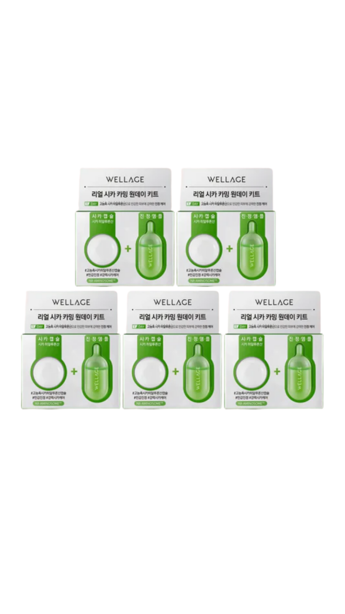 WELLAGE Real Cica Calming One Day Kit