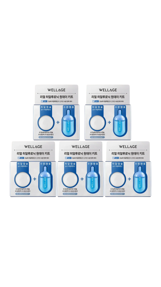 WELLAGE Real Hyaluronic One Day Kit