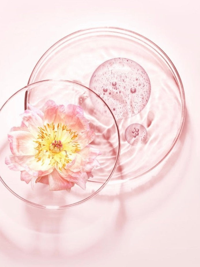 &honey Honey Deep Moist Shampoo 1.0 Sakura