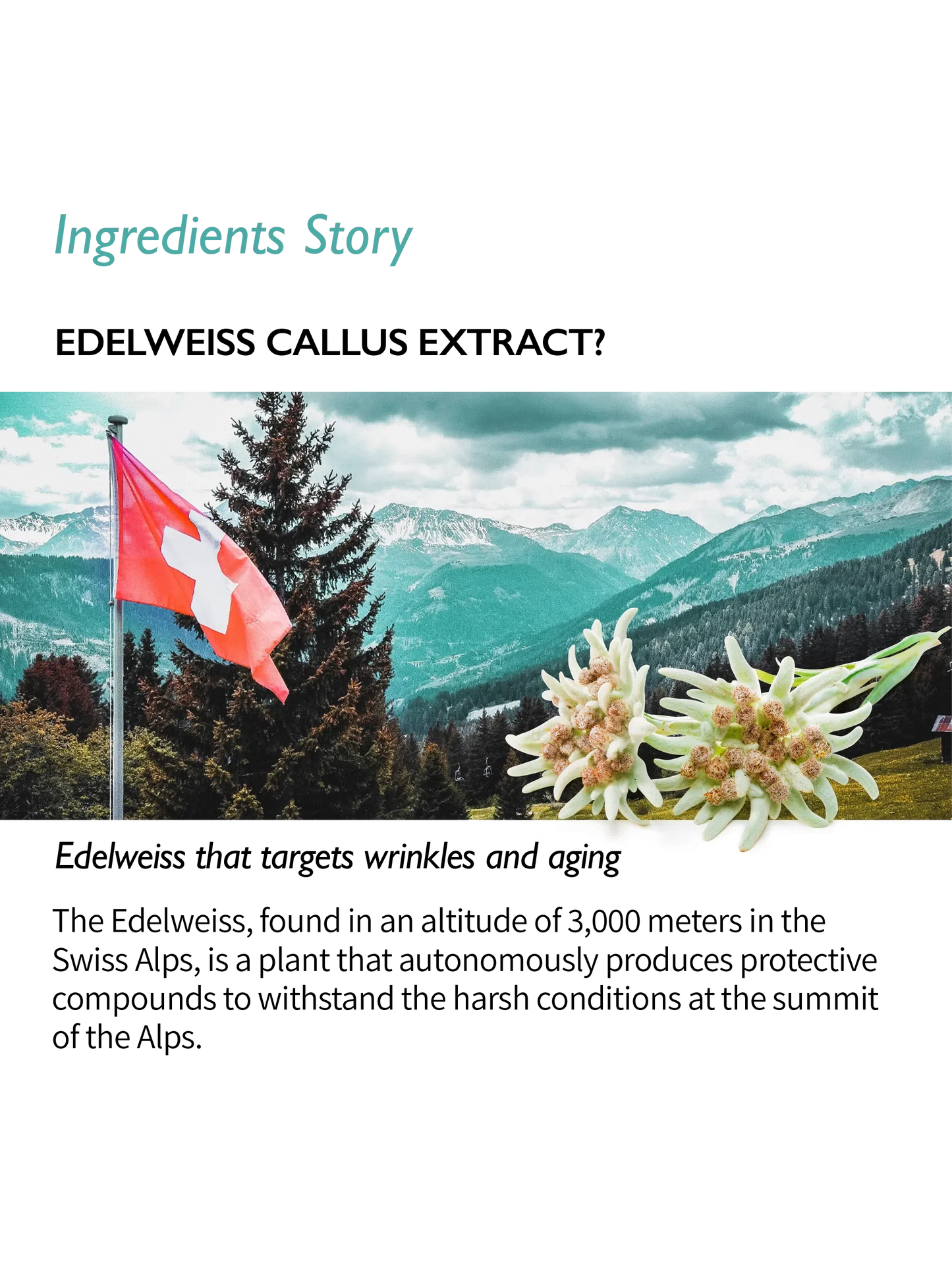 Genabelle Edelweiss Lifting Serum