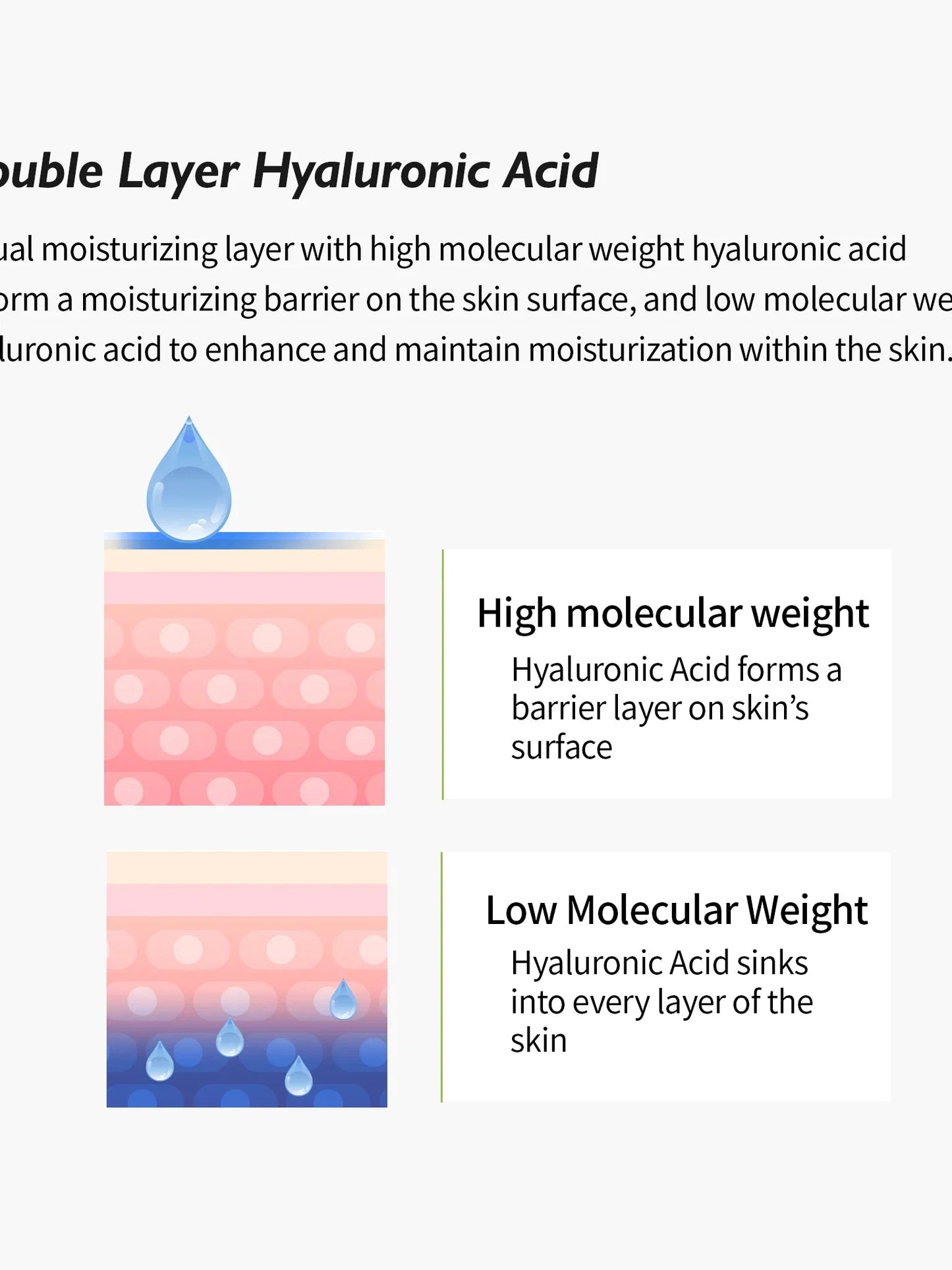 **SALE** Genabelle Squalane 53 Deep Moisture Serum