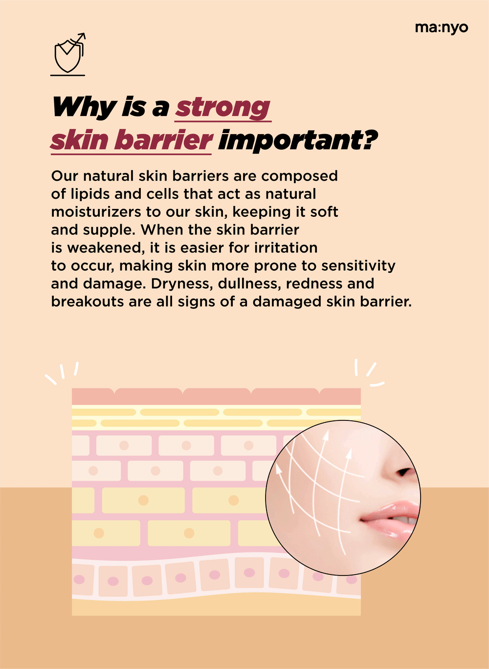 MANYO Bifida Biome Complex Ampoule - Song of Skin