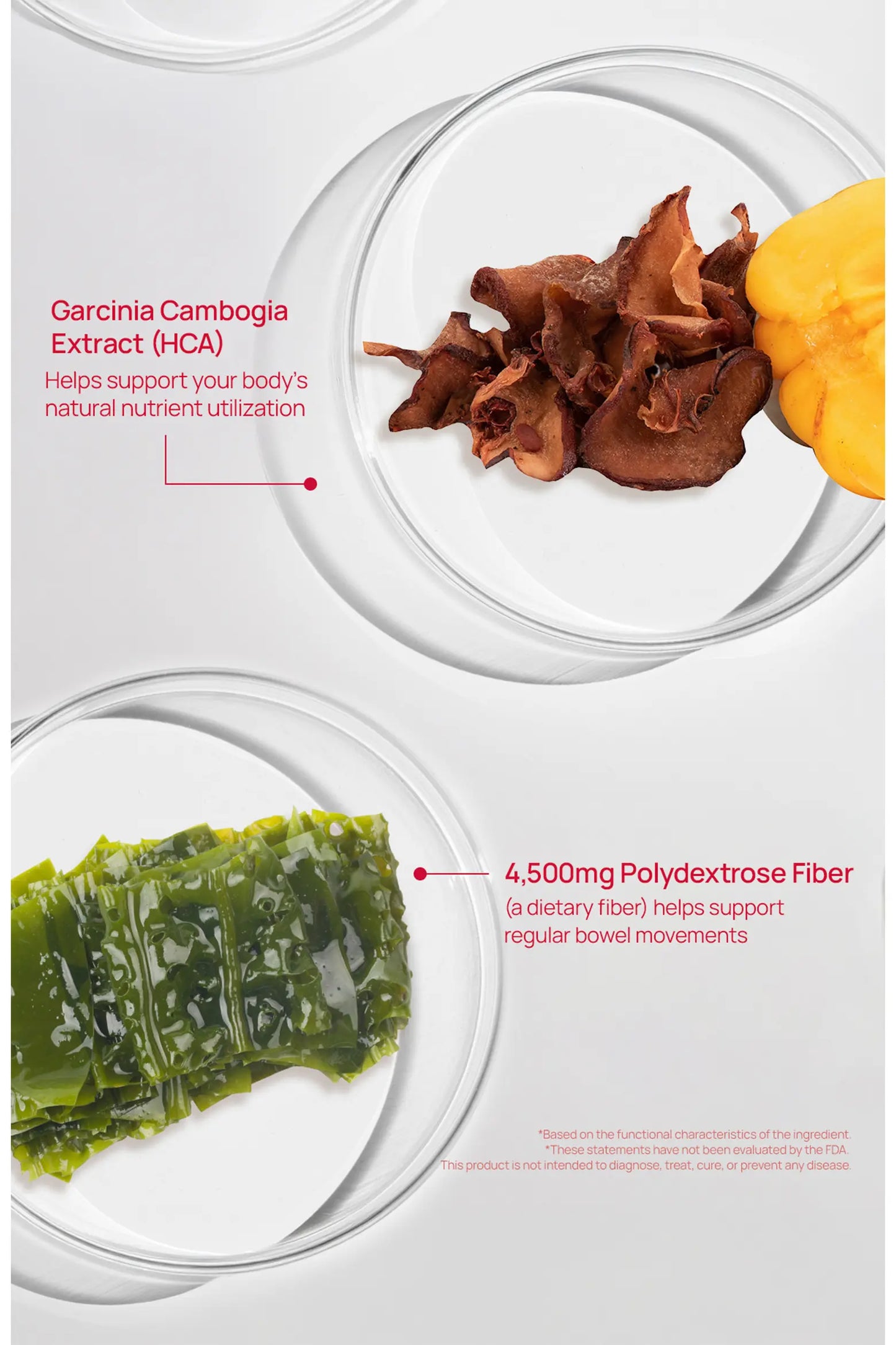 Coleology Bowel Movement Jelly (10 sticks)
