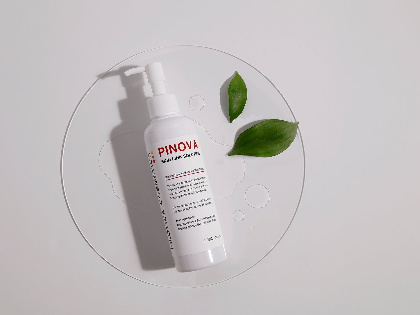 PILOTICA PINOVA