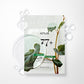 Anua Heartleaf 77 Soothing Toner Cica Exosome Mask (7PCS) - Song of Skin