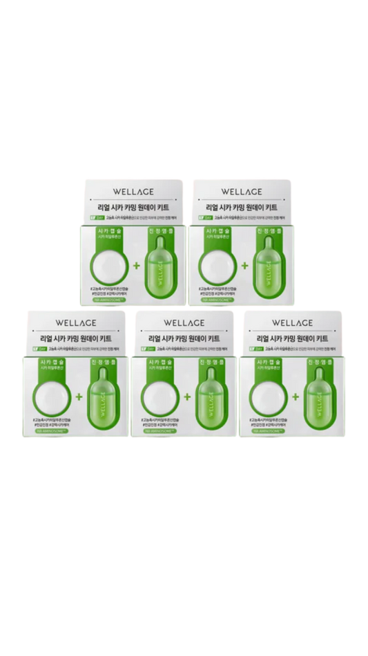 WELLAGE Real Cica Calming One Day Kit