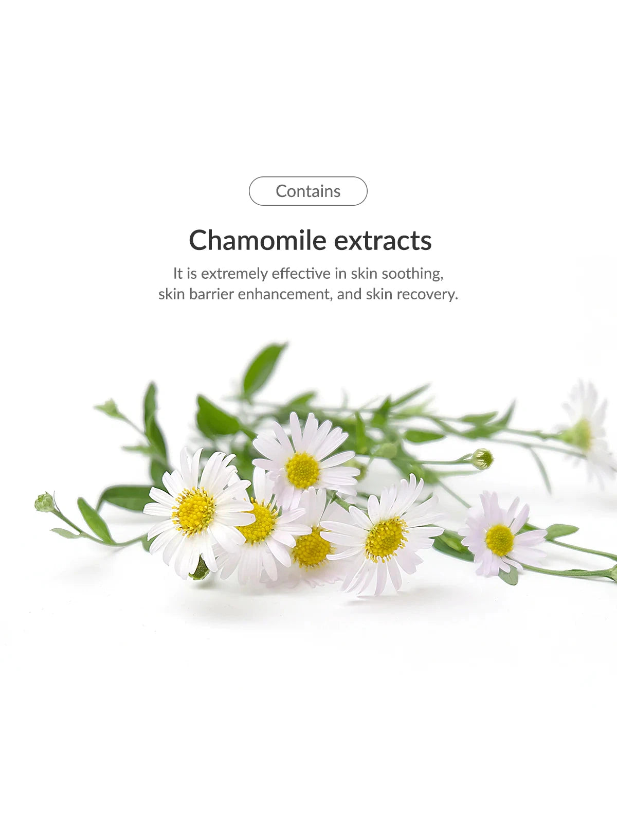 Dr. Althea Azulene 147HA Intensive Soothing Cream - Song of Skin