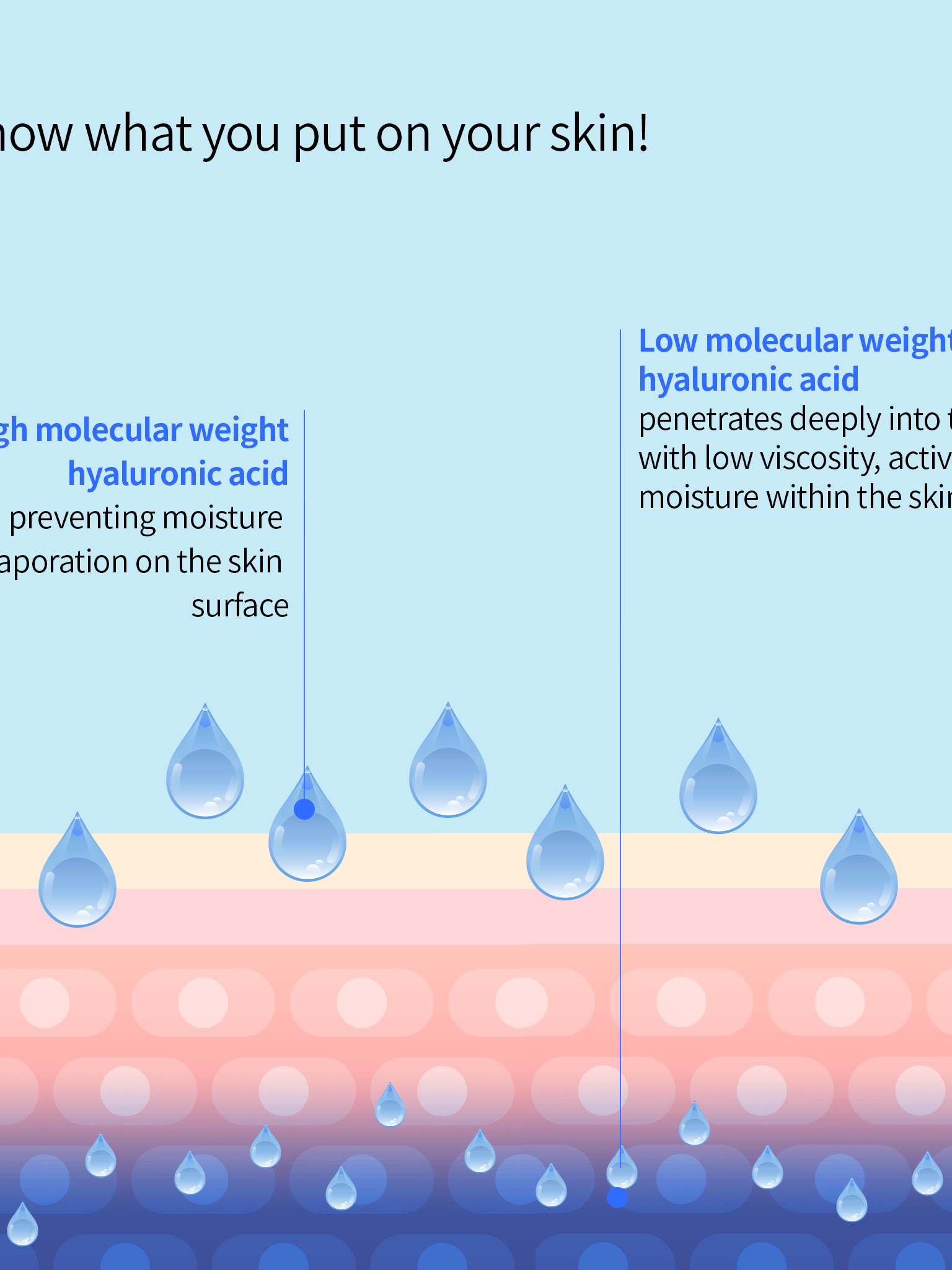 Genabelle CRYSTAL DROP HYDRA BOOSTER AMPOULE - Song of Skin