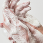 Anua Heartleaf Succinic Moisture Cleansing Foam