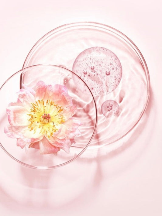 &honey Honey Deep Moist Shampoo 1.0 Sakura