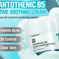 Numbuzin No.1 Pantothenic B5 Active Soothing Cream