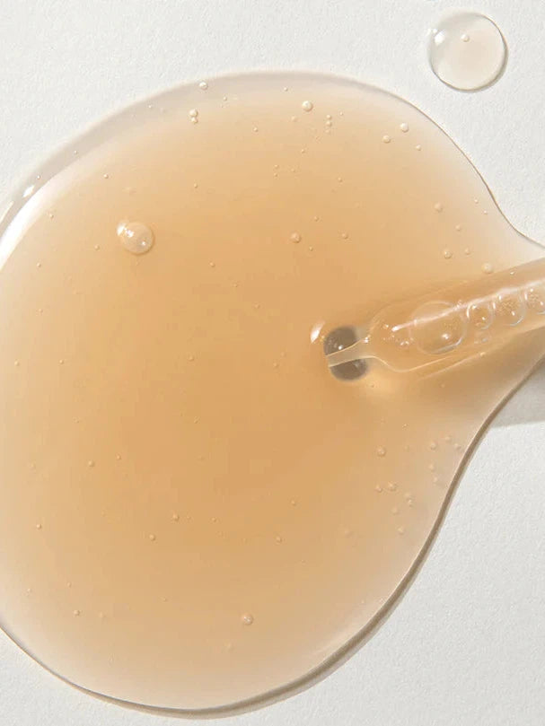 KAINE Kombu Barrier Ampoule 30ml - Song of Skin