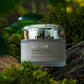 LAVIEN Kombu Biome Intensive Gel Cream - Song of Skin