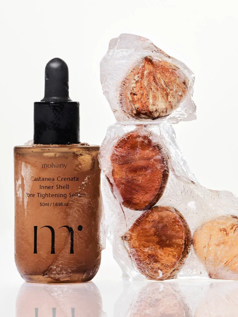 Molvany Castaneda Crenata Inner Shell Pore Tightening Serum - Song of Skin