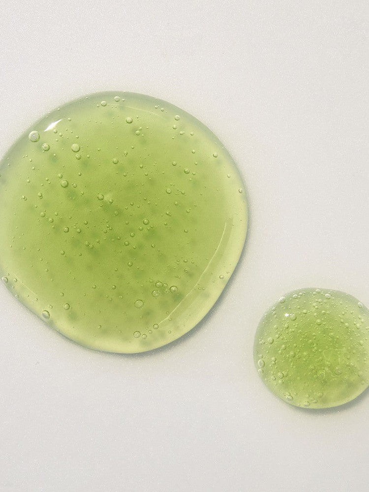 **BLACK FRIDAY DEAL** KAINE Rosemary Relief Gel Cleanser - Song of Skin