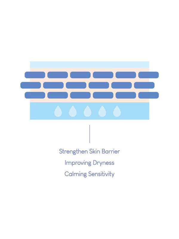 PURITO Dermide Cica Barrier Sleeping Pack - Song of Skin
