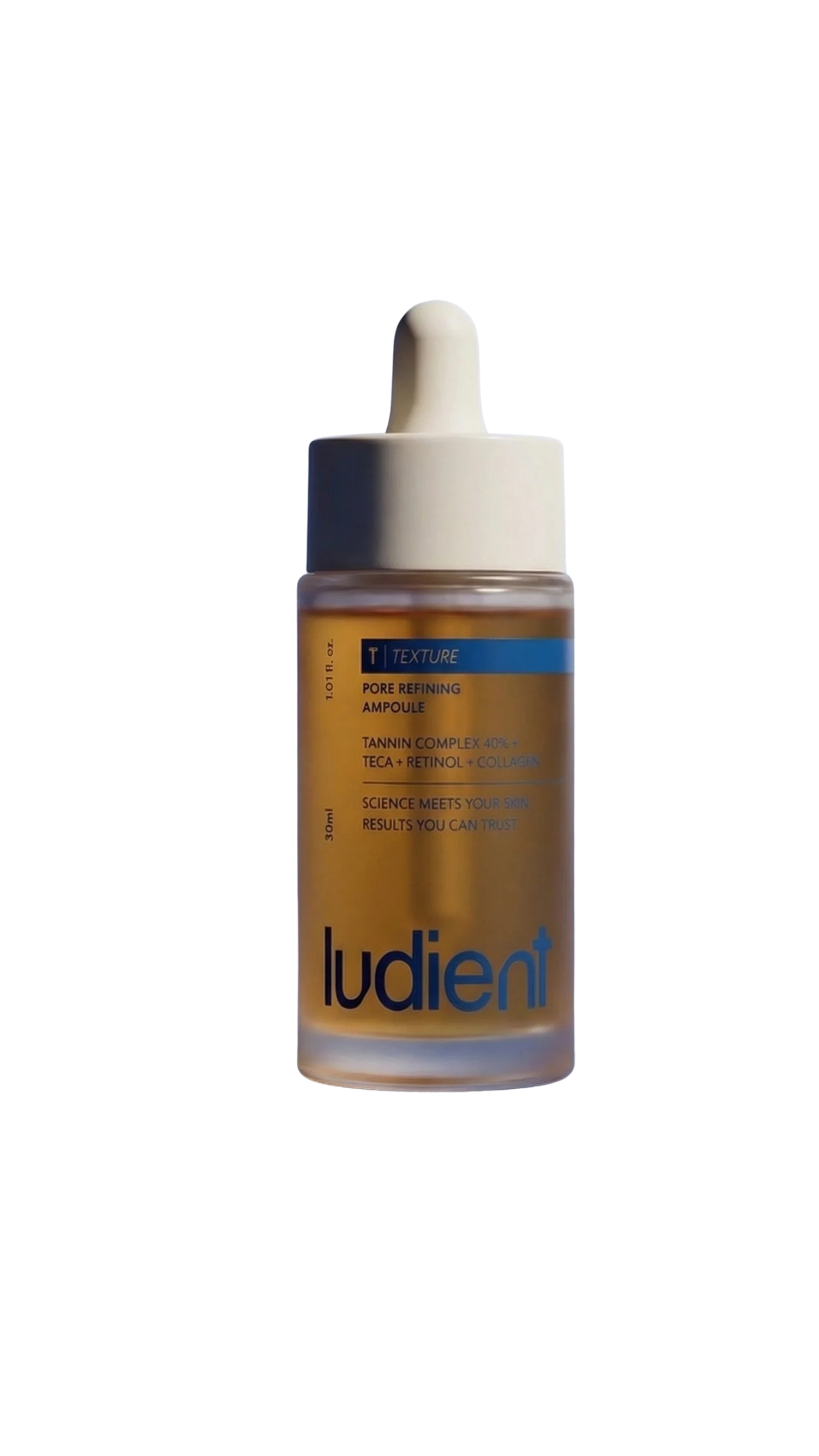 Ludient