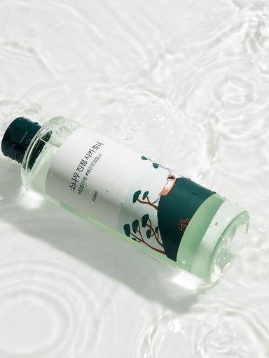 ROUND LAB Pine Calming Cica Toner - Song of Skin