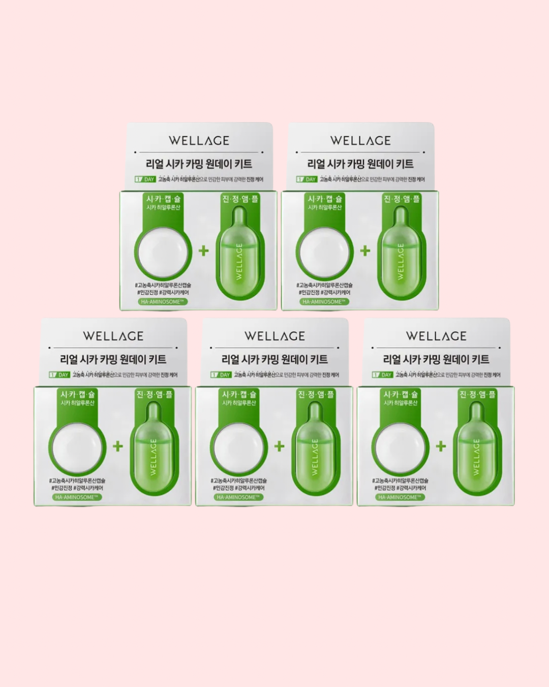 WELLAGE Real Cica Calming One Day Kit