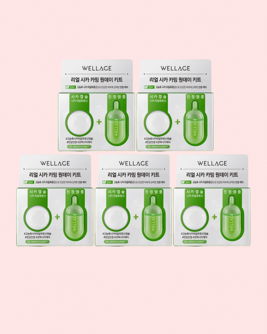 WELLAGE Real Cica Calming One Day Kit