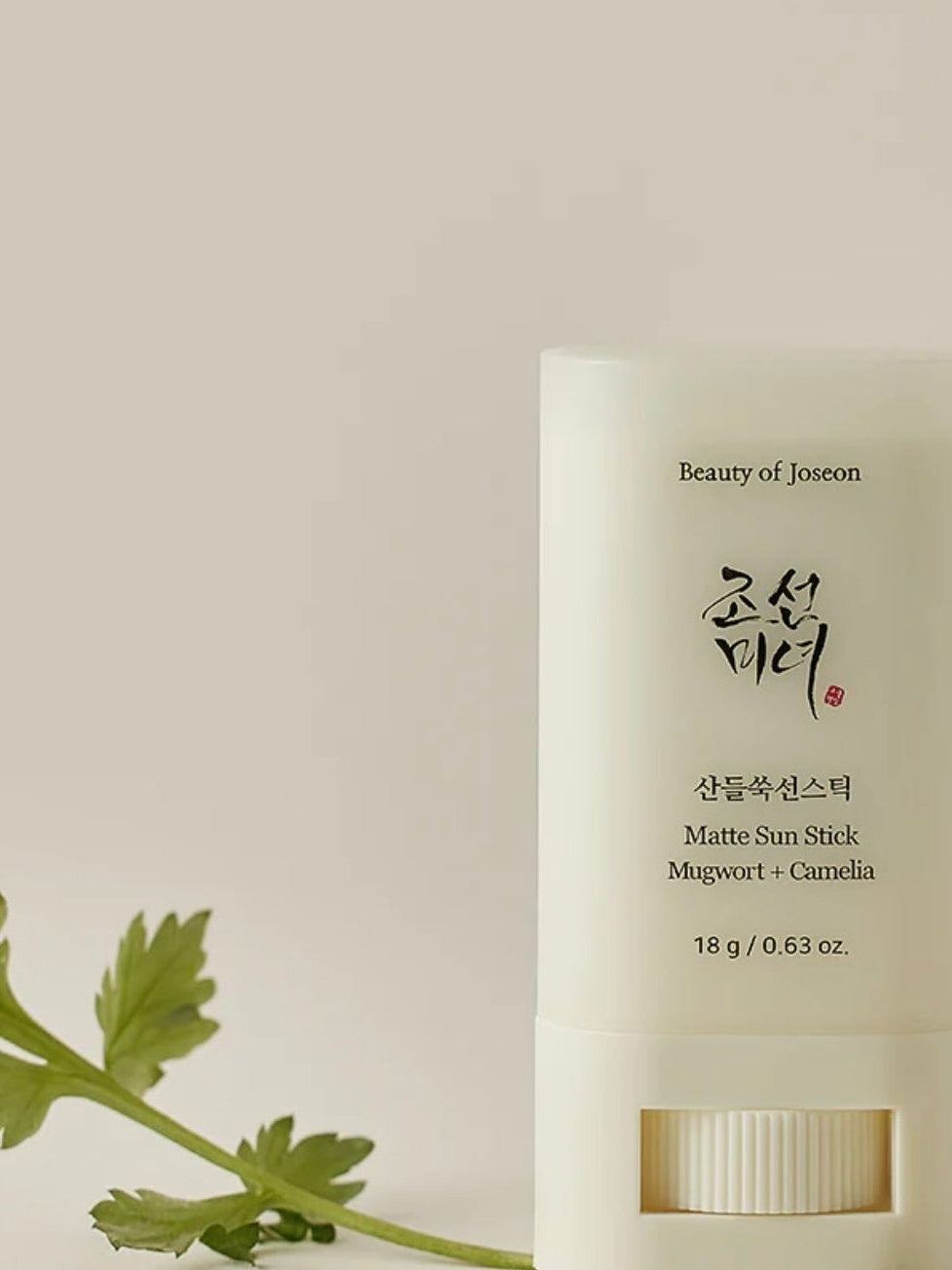 Beauty of Joseon Sunscreen Stick - Matte Sun Stick (Mugwort +