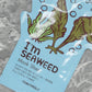 I'm Real Seaweeds Mask Sheet Skin Purifying